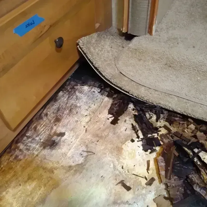 Wood Floor Water Damage in McAllen, TX